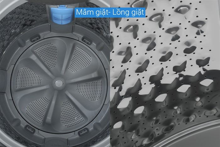 Máy Giặt Toshiba Inverter 15 Kg AW-DUM1600LV(SG)